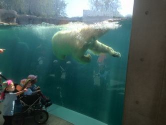 Tur til Zoo